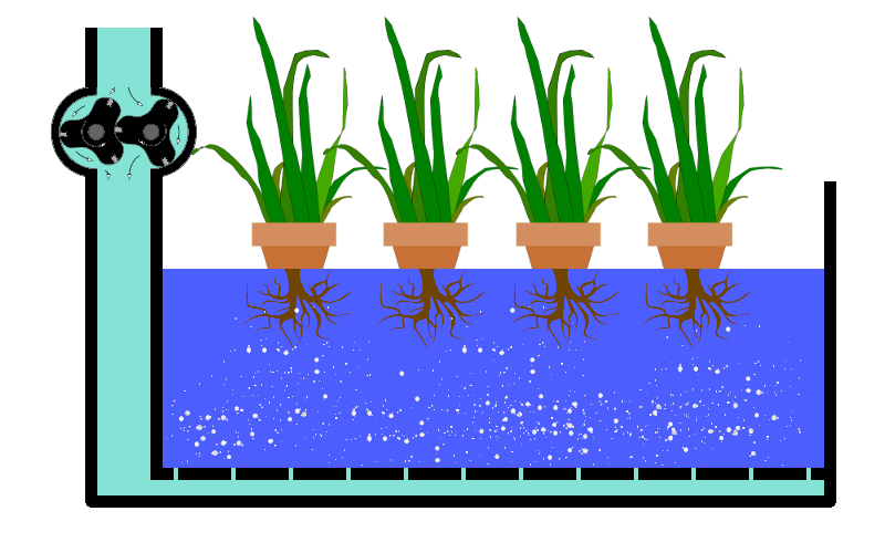 Deep Water Culture 01