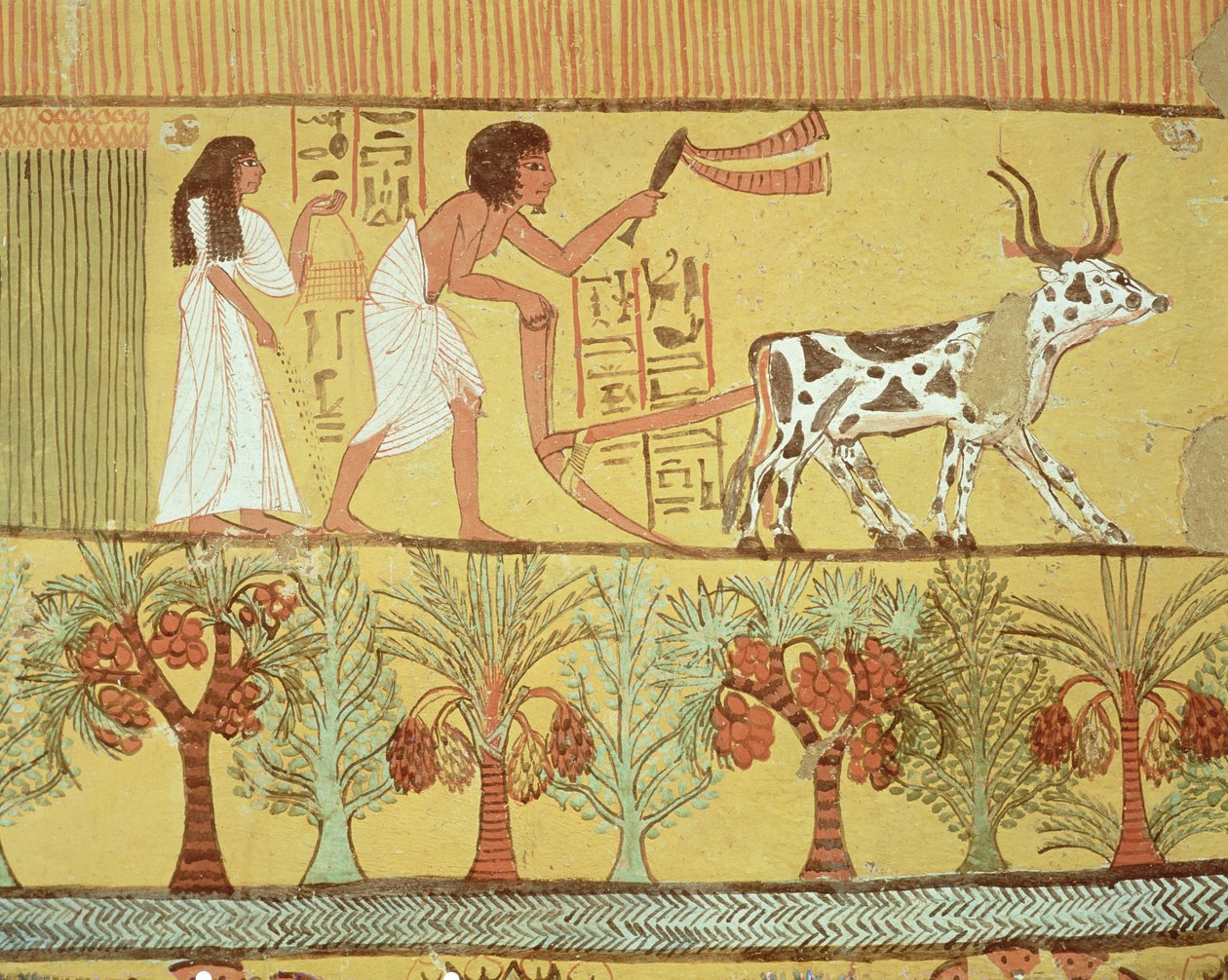 Egyptian 19th Dynasty Egyptian 19th Dynasty Sennedjem and his wife in the fields sowing and tilling from MeisterDrucke 374856