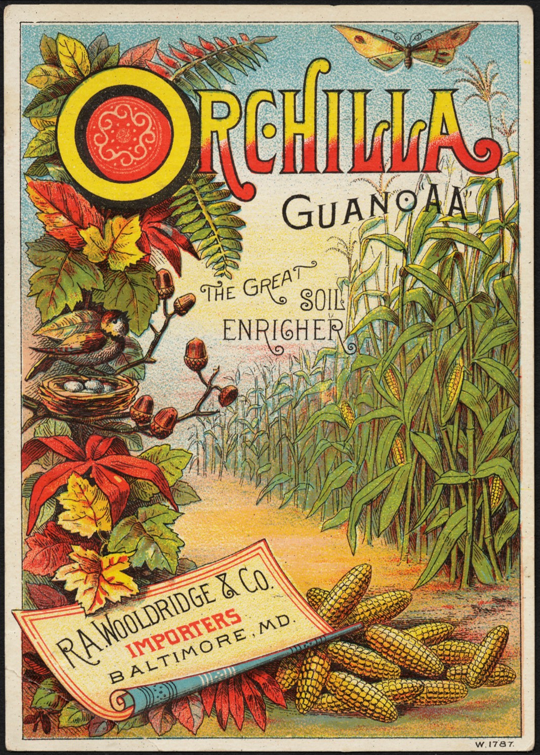 Orchilla Guano