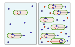 Quorum sensing diagram 300px