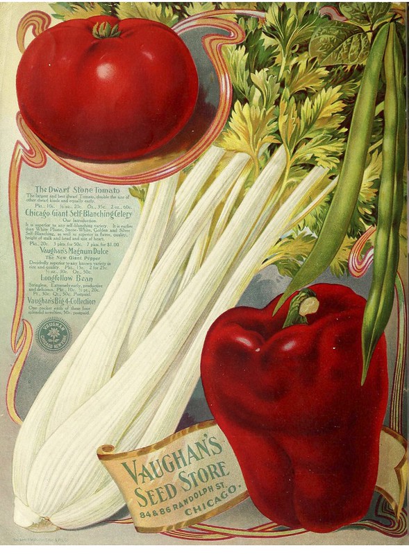 Swallowtail Garden Seeds s