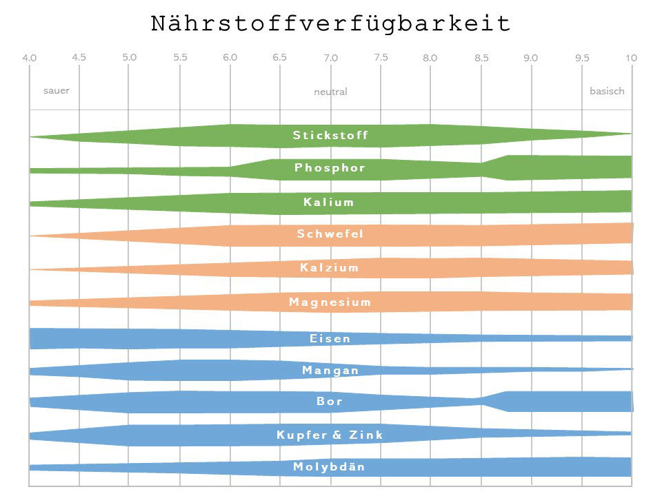 Nutrient availability pH value hydroponics