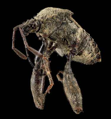 Push & Pull Visualization